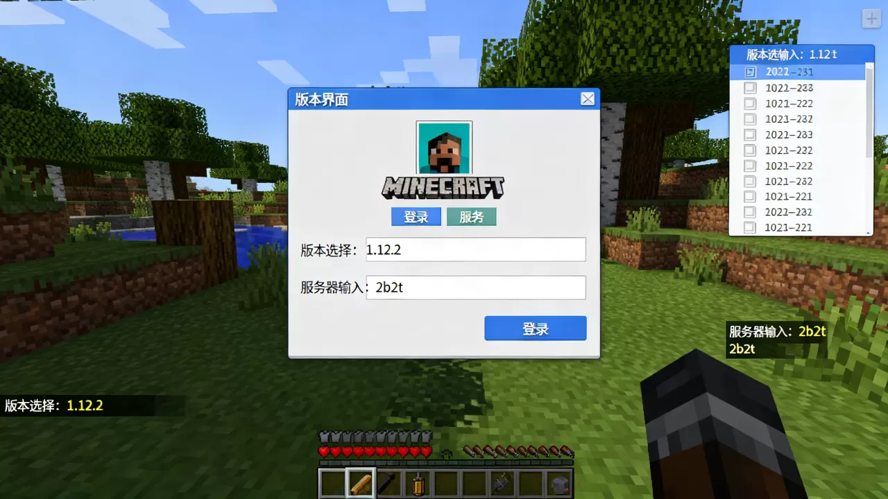 我的世界中国版怎么进2b2t服务器？，需要什么版本