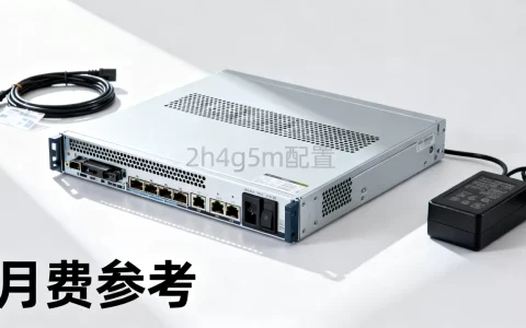2h4g5m服务器多少钱一个月？，哪家便宜