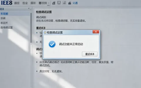 IE8网络调试功能无法正常启动怎么办？，怎么解决