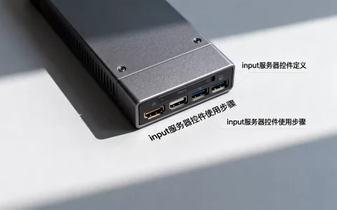 input服务器控件是什么？, input服务器控件怎么用