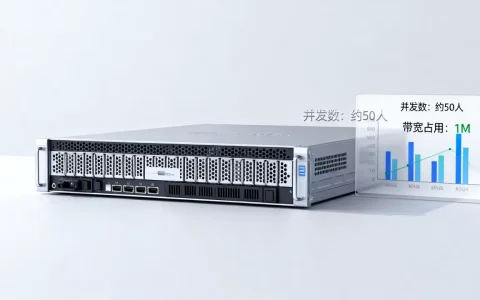 1核1G1M服务器到底能支持多少人，够用吗？