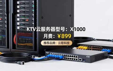 KTV云服务器多少钱一个月，哪家性价比高？