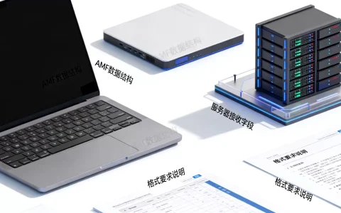 AMF格式需要发送哪些信息给服务器，格式要求是什么？