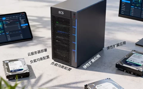 经典网络ECS经典场景有哪些？，怎么用？