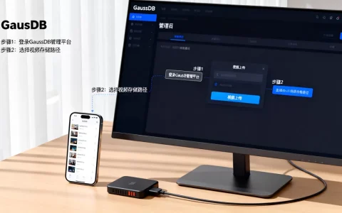 如何将视频存到云数据库GaussDB，有哪些方法？