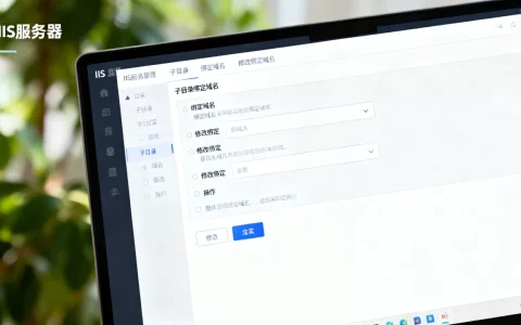 IIS子目录如何绑定域名？，IIS如何修改绑定域名？