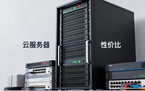 服务器的未来会走向何方，云服务器哪家性价比高？