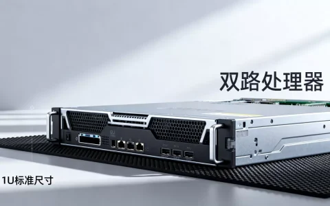 上海1u2路机架服务器多少钱，如何选择？
