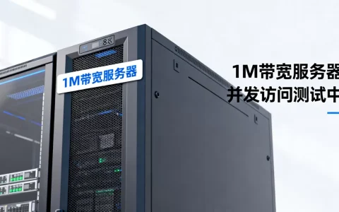 1M服务器到底能同时满足多少人访问，服务器带宽怎么选？