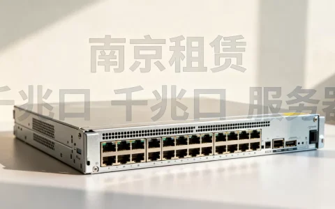 南京租一台千兆口服务器每月预算多少，价格贵不贵