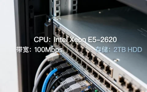 成都独立服务器月租构成与配置带宽怎么核算？，多少钱
