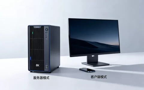 服务器模式和客户端模式有什么区别，怎么区分？