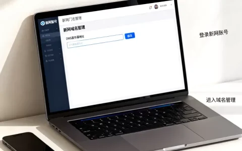 怎样修改新网域名的DNS服务器地址？，服务器 dns 地址那里修改