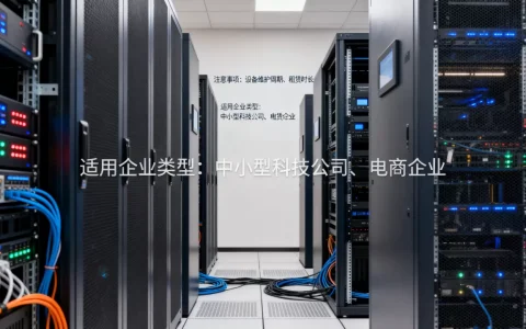 山东整机租用有哪些注意事项，适合哪类本地企业？