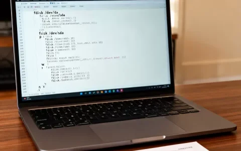 fdisk命令用法_进阶用法