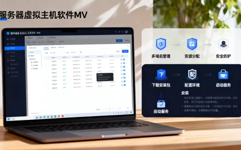 服务器虚拟主机软件mv的主要功能是什么，怎么安装？