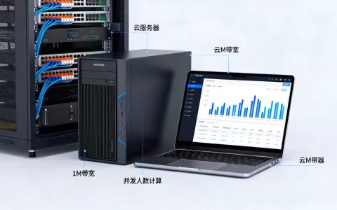 云服务器1M带宽到底够多少人用，怎么算并发人数？