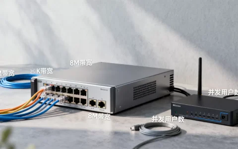 8M宽带的服务器到底能带动多少人？，服务器带宽怎么选？