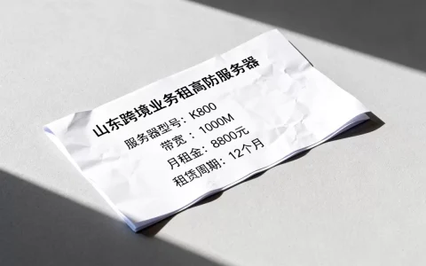 山东跨境业务租高防服务器的报价单该怎么看，多少钱？