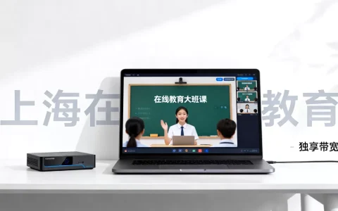 上海在线教育大班课独享带宽选哪个好，多少钱