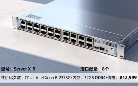 八个接口的服务器有哪些型号，哪个性价比高