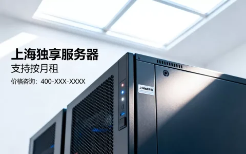 上海独享服务器可不可以按月租，价格贵不贵？