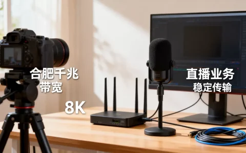 合肥千兆带宽租用适合直播业务吗？