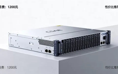 csae服务器一个月到底多少钱？，哪家便宜？