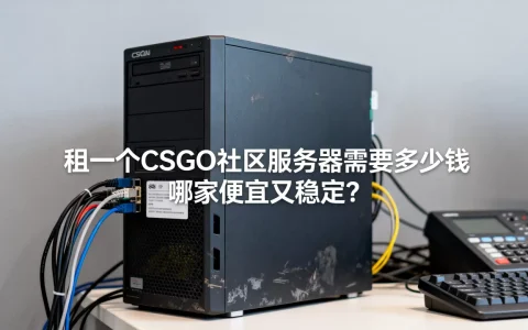 租一个CSGO社区服务器需要多少钱，哪家便宜又稳定？