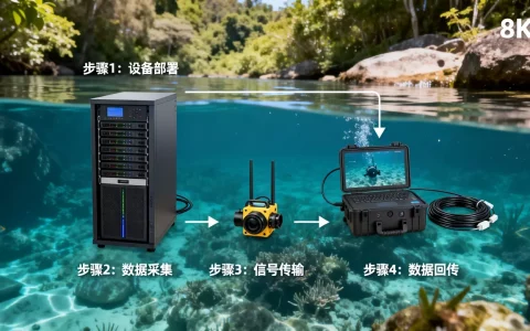 在烟台租大带宽服务器做水下视频回传流程是什么，多少钱