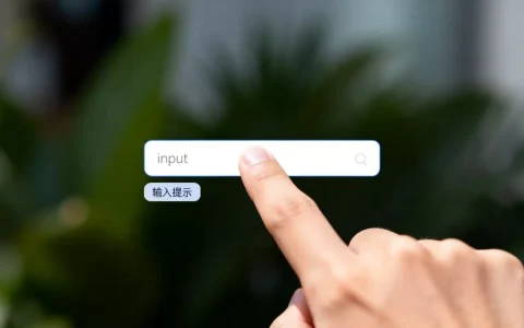 input标签点击_input