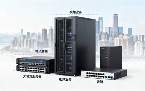 视频业务选贵阳整机租用还是大带宽服务器，哪个好？