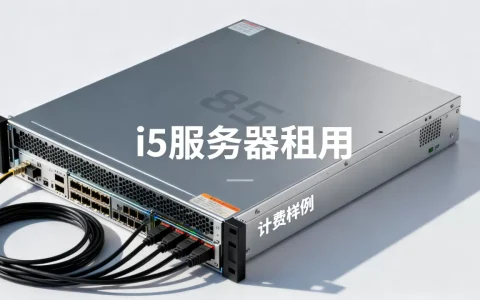i5服务器租用_计费样例