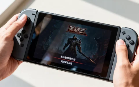 switch暗黑三连接不到服务器怎么回事？,怎么解决