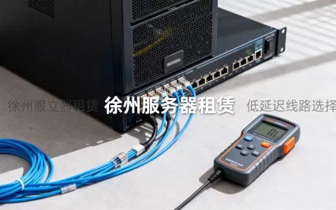 徐州独立服务器租什么线路延迟最低，怎么选？