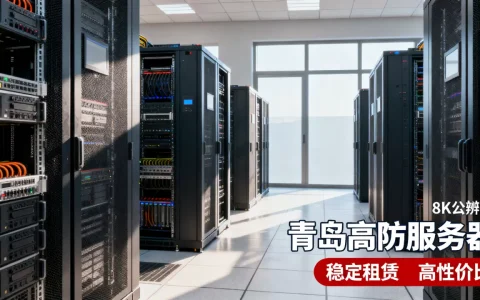 青岛高防服务器哪里租比较稳妥，哪家性价比高？