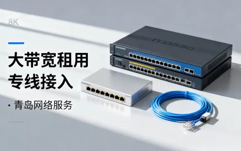 青岛大带宽租用和专线接入到底怎么选，哪个性价比高？