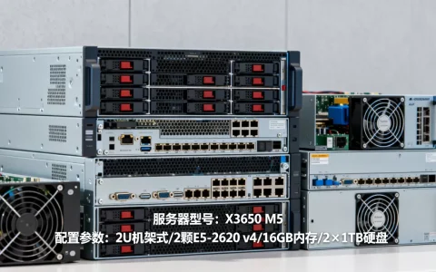 无套口一般有哪些服务器，怎么选性价比高的？