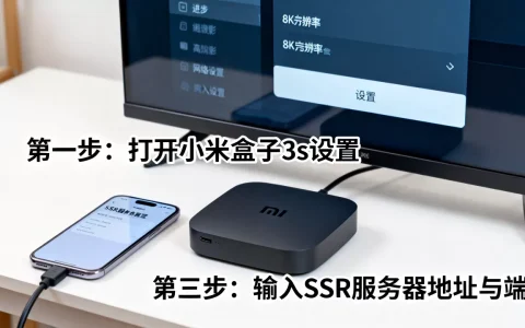 小米盒子3s如何设置SSR服务器？, SSR服务器怎么设置