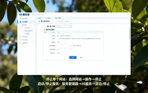 如何停止IIS单个网站？，启动停止IIS服务怎么做？