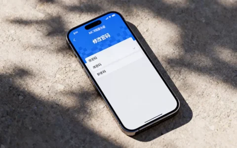 mc手机版服务器怎么改密码啊，密码是多少呢