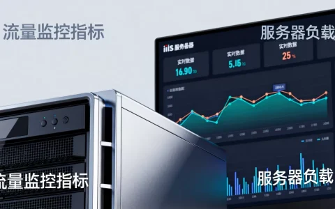 iis服务器 流量监控软件有哪些