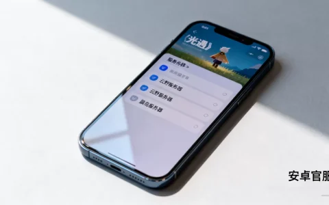 光遇安卓服务器有哪些呢，哪个服务器是官服且不卡