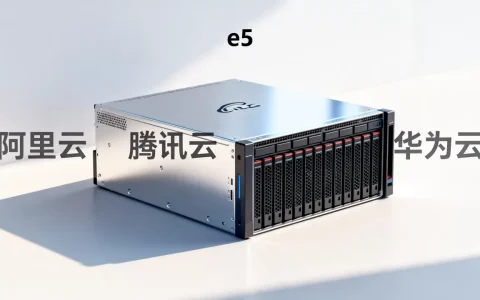 e5服务器有哪些平台