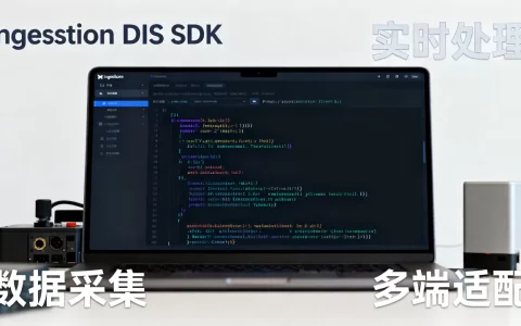 ingestion_DIS SDK能做什么，有哪些功能？