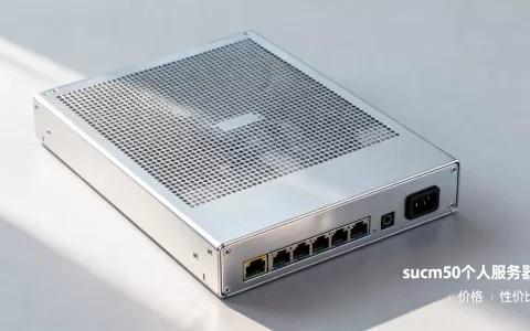 sucm50个人服务器多少钱一台，性价比高吗
