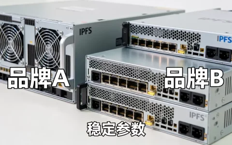 IPFS服务器哪个品牌更稳定，怎么选才不踩坑？