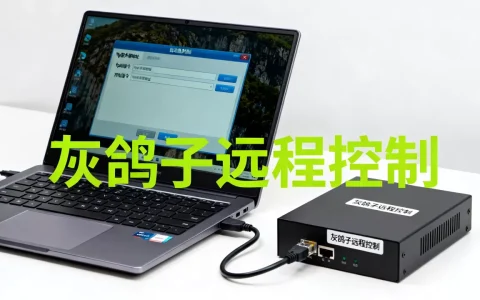 灰鸽子自动上线ftp服务器怎么控制别人电脑？，怎么用
