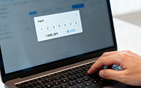 input数字输入框如何实现只能输入数字，有哪些方法？