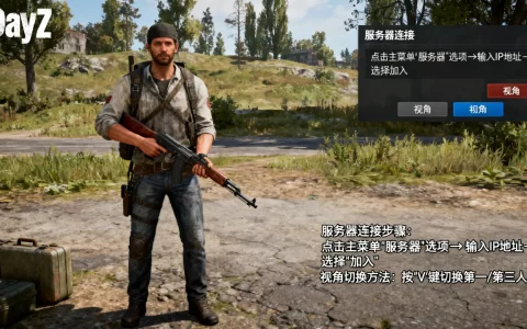 dayz第三人称服务器怎么进？，dayz第三人称怎么切换